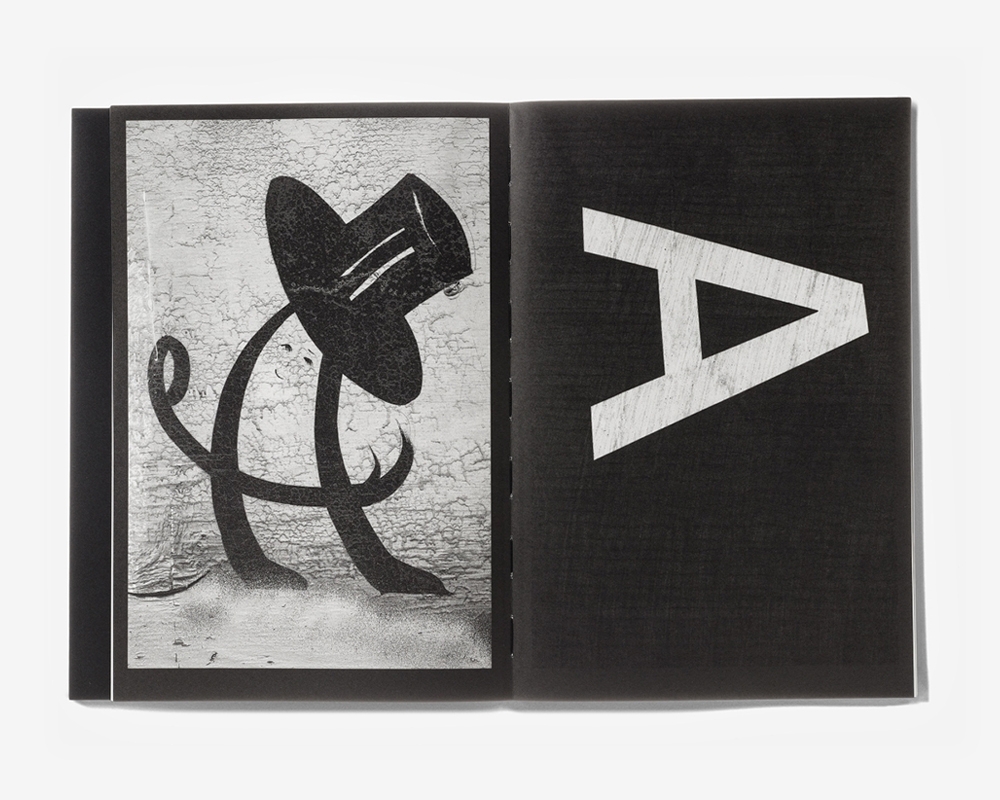 Shannon Ebner. A Public Character