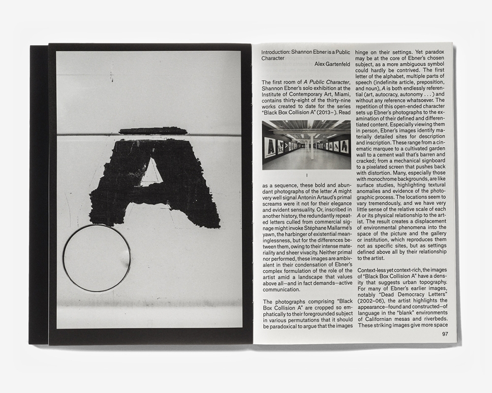 Shannon Ebner. A Public Character