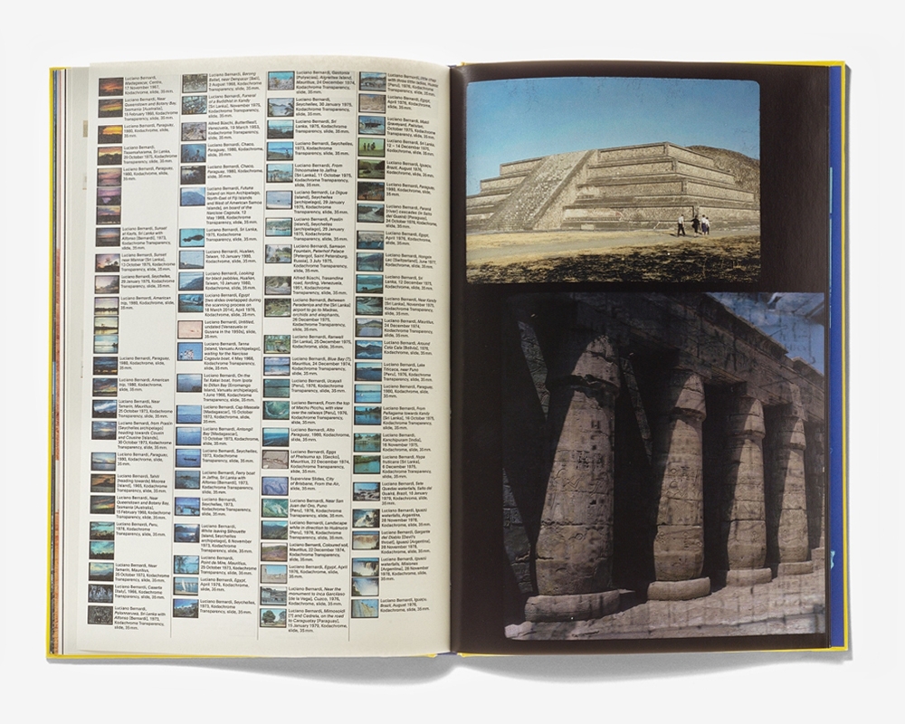 Into Your Solar Plexus