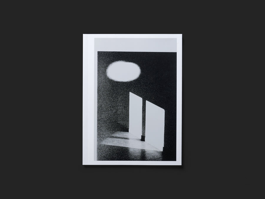 A CLOSE UP OF A LARGE ROCK, I THINK.