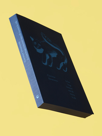 La lune bouge lentement/ DESARZENS